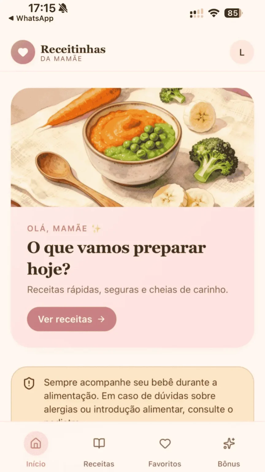ALIMENTE SEU BEBÊ COM SEGURANÇA E SAUDE EM ATÉ 15 MINUTOS (13)