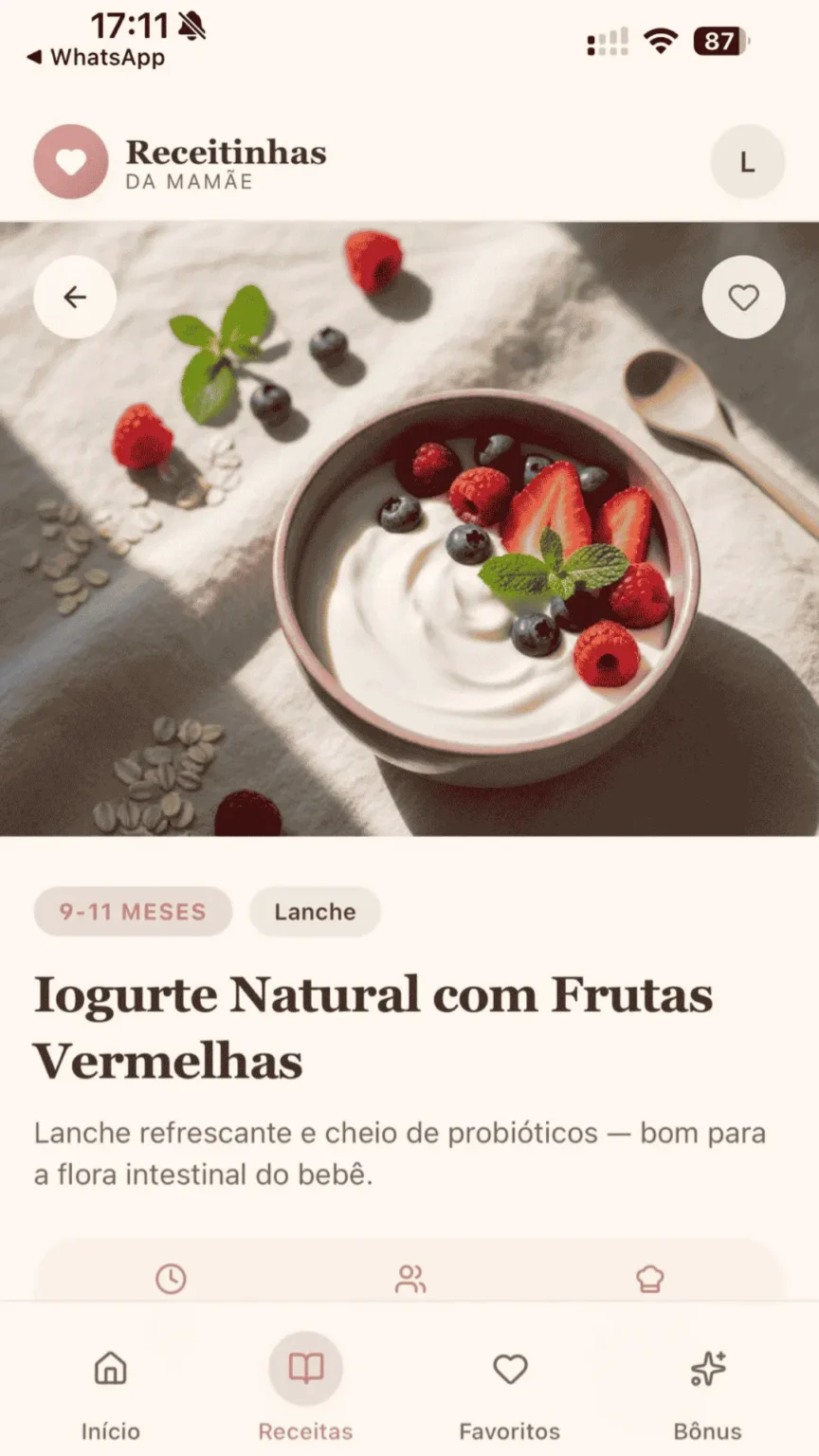ALIMENTE SEU BEBÊ COM SEGURANÇA E SAUDE EM ATÉ 15 MINUTOS (2)