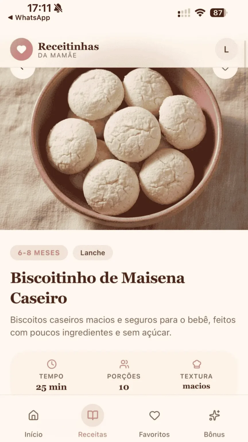 ALIMENTE SEU BEBÊ COM SEGURANÇA E SAUDE EM ATÉ 15 MINUTOS (4)