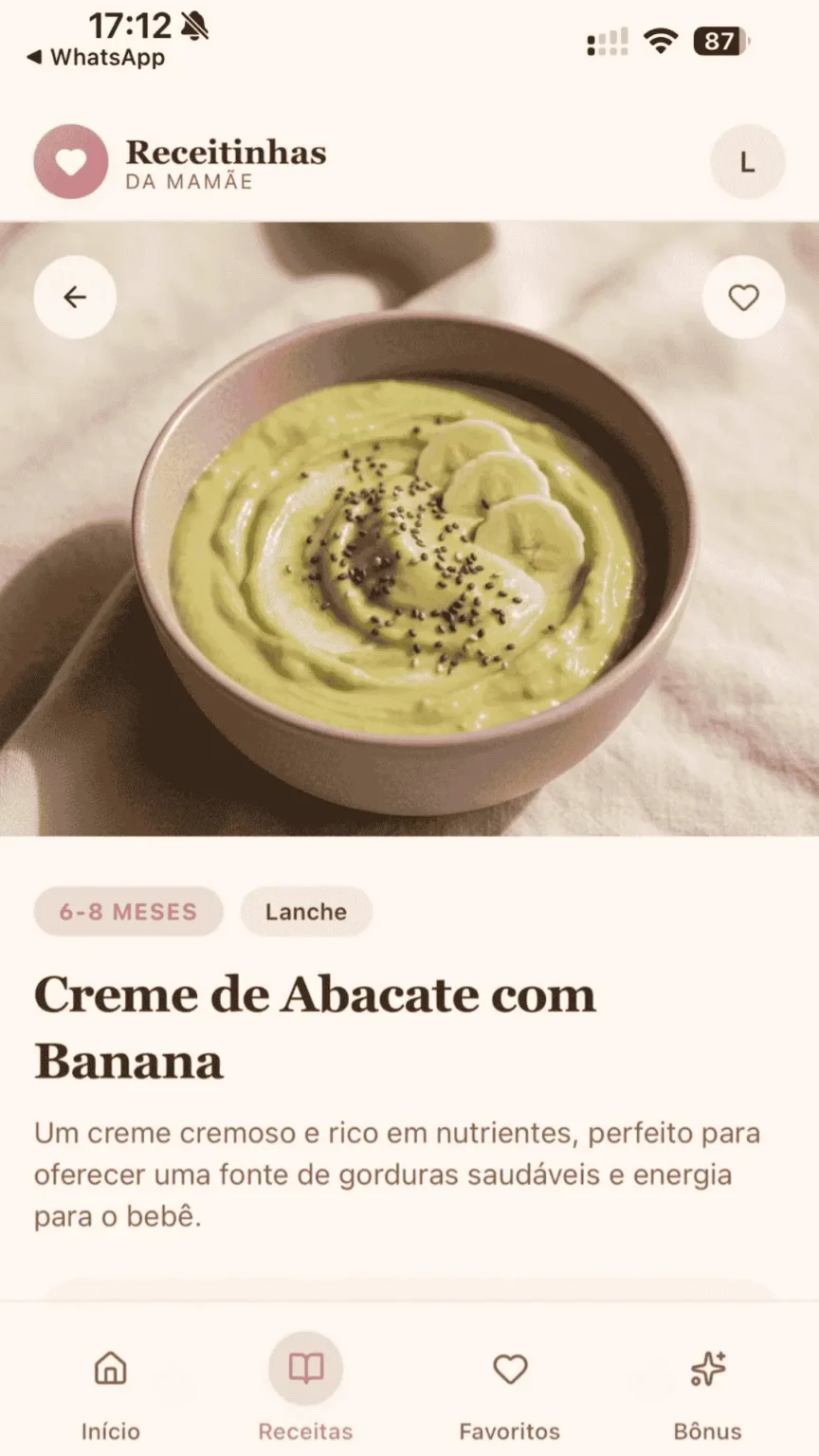 ALIMENTE SEU BEBÊ COM SEGURANÇA E SAUDE EM ATÉ 15 MINUTOS (5)