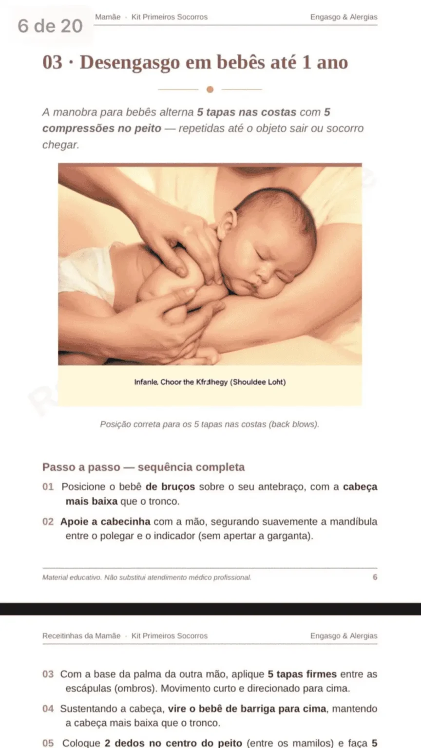 ALIMENTE SEU BEBÊ COM SEGURANÇA E SAUDE EM ATÉ 15 MINUTOS (7)