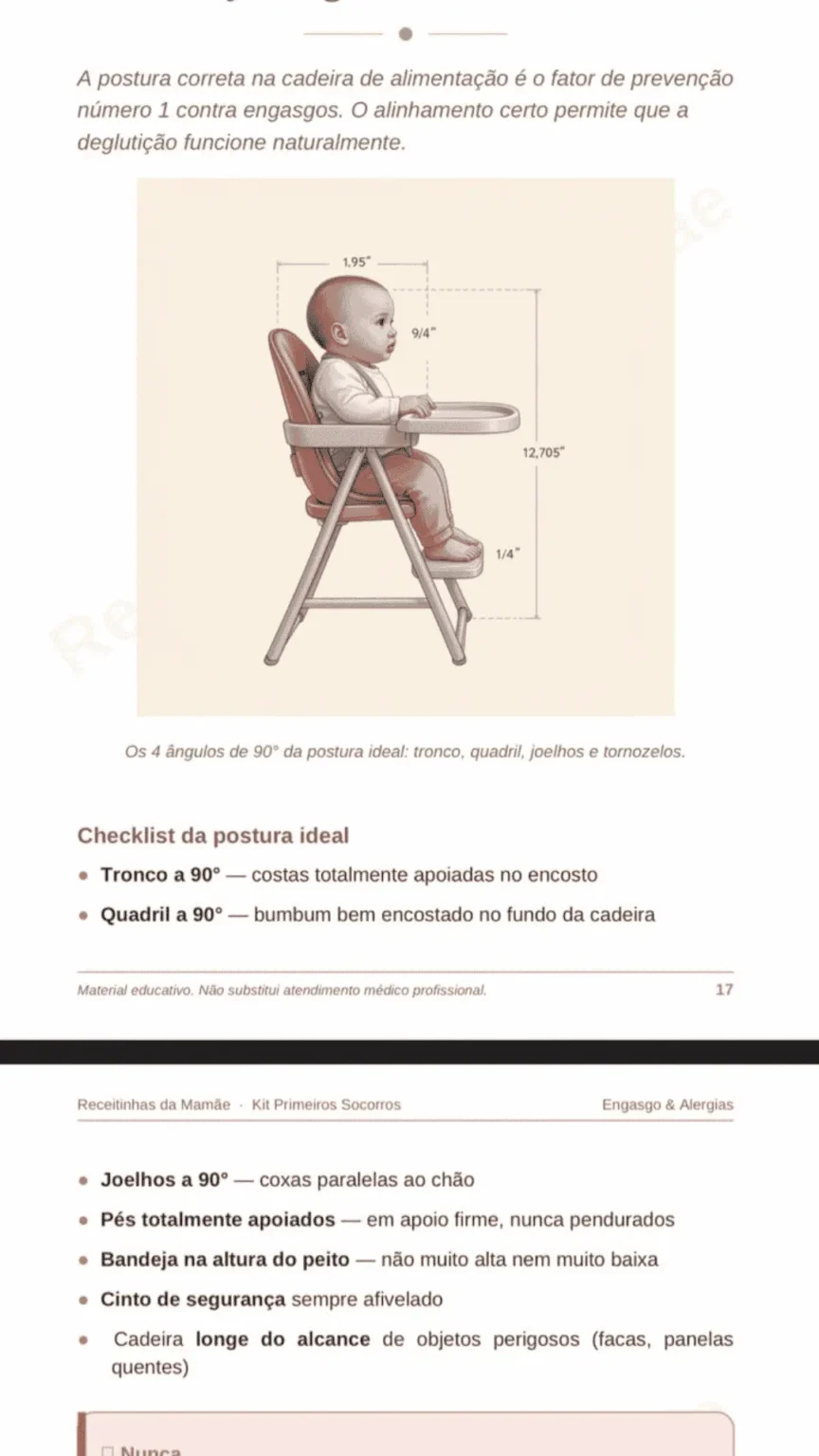 ALIMENTE SEU BEBÊ COM SEGURANÇA E SAUDE EM ATÉ 15 MINUTOS (9)